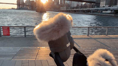 7am Enfant - Warmmuffs image 2